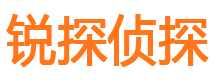 宜阳找人公司